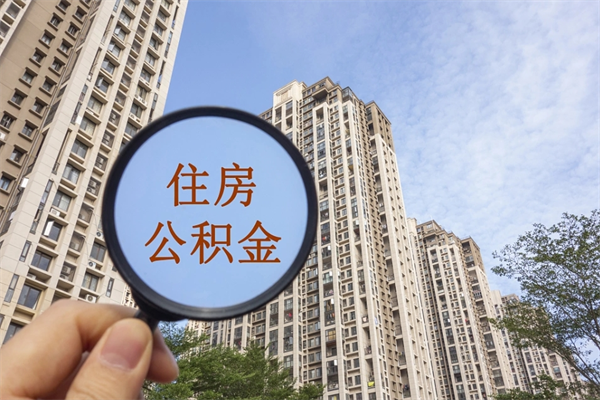 社保断缴可以开公积金么_陆丰公积金代办服务